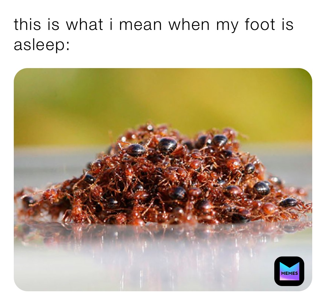 this-is-what-i-mean-when-my-foot-is-asleep-4kfrukiyxmonnnster-memes