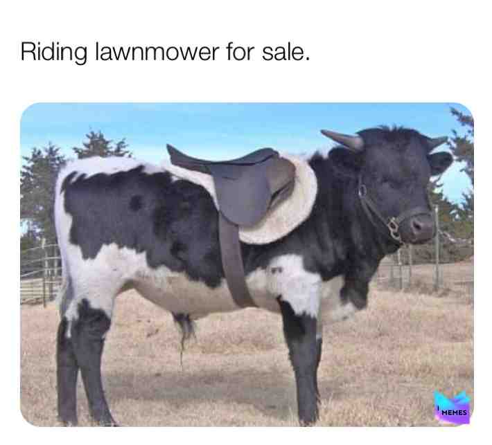 This one has a kick! #funny #comedy #comedian #standup #laugh #humor #viral #lol #lmao #joke #joking #bull #rodeo #lawnmower