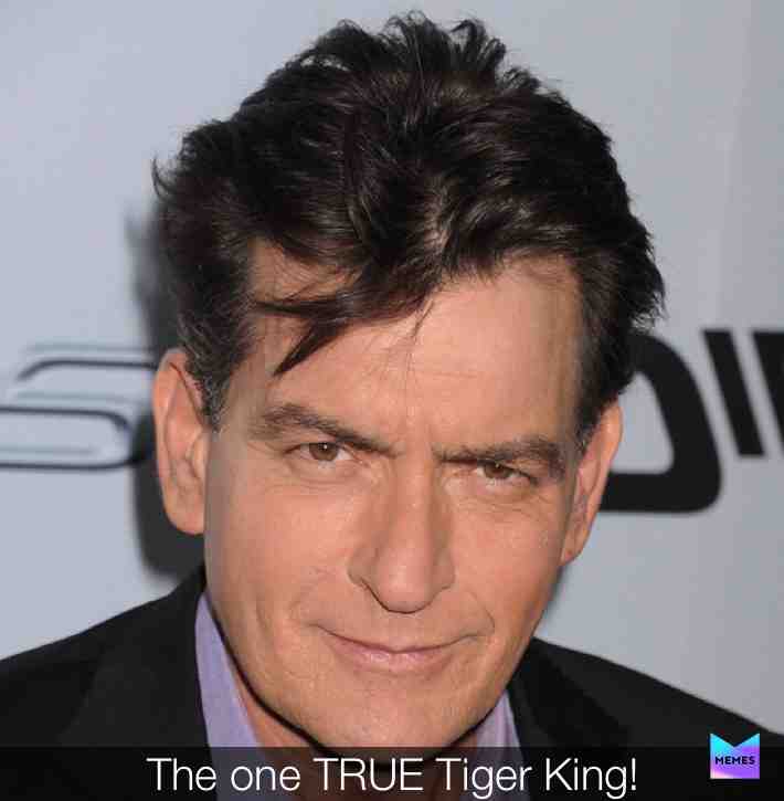 Charlie Sheen!! Tiger blood, tiger king! #charliesheen #tigerking #tiger #tigerblood #funny #comedy #comedian #standup #laugh #humor #viral #lol #lmao #joke #joking
