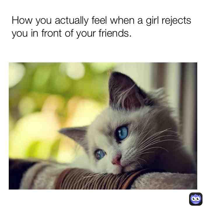 Meme shared by @lilsands