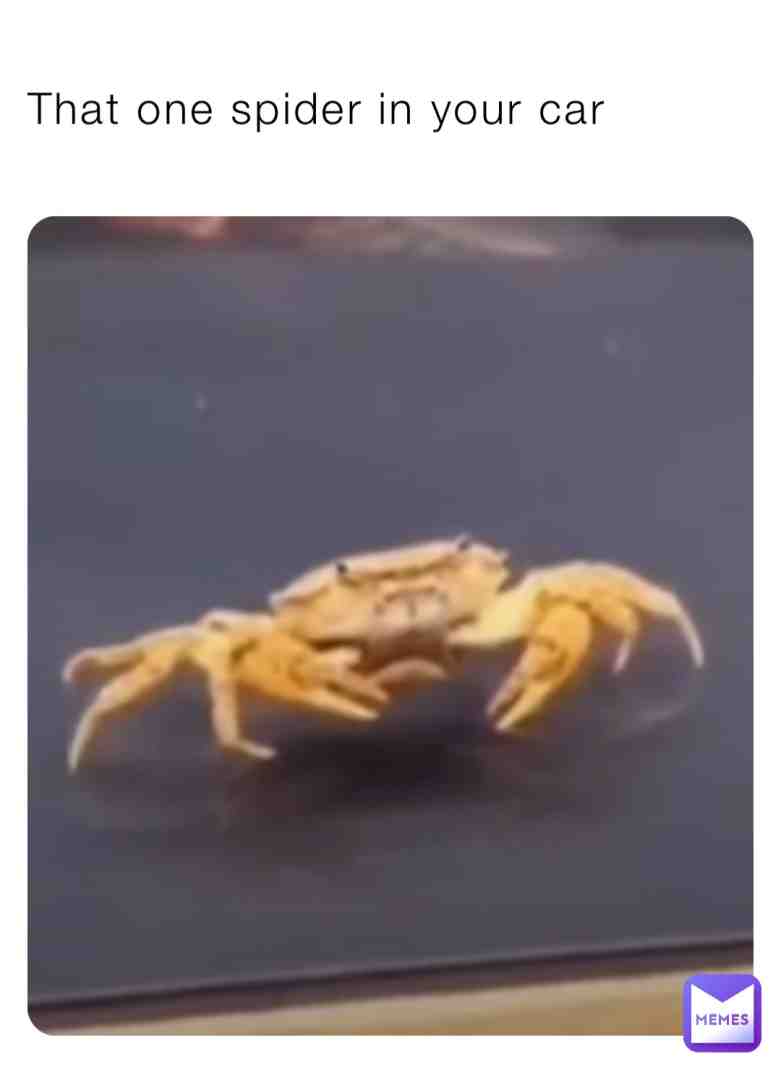 #a spider