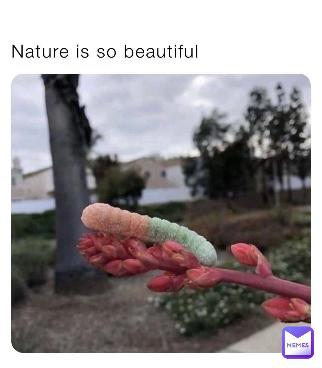 Nature is so beautiful