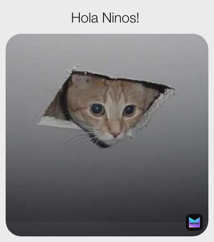 Meme by DailyMemes4U