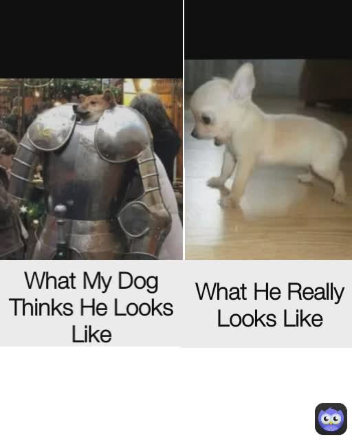 Meme by TacoBellOfficial