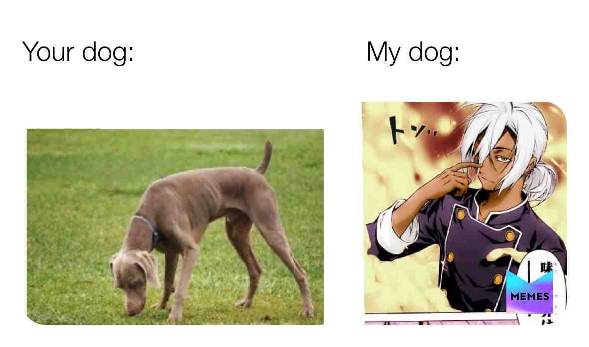 Who will understand?
#otaku #anime #puppynose