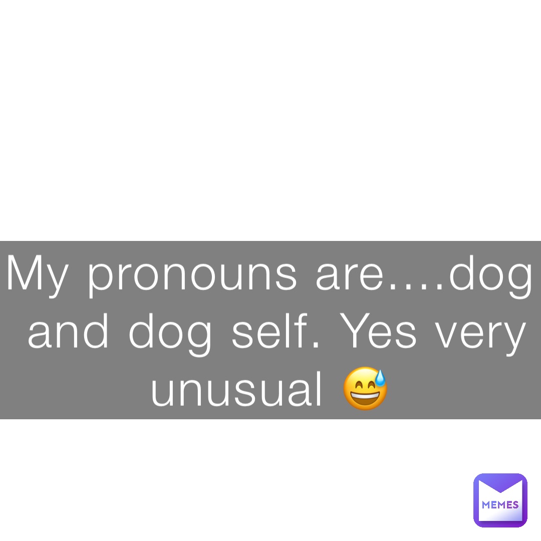 My pronouns are....dog and dog self. Yes very unusual 😅 Amish