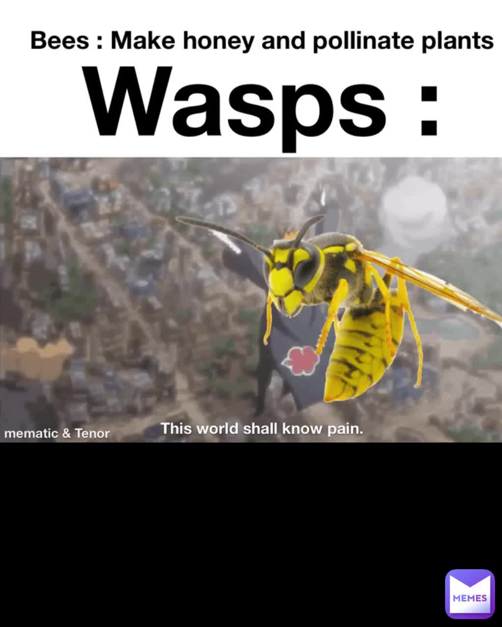 Meme preview