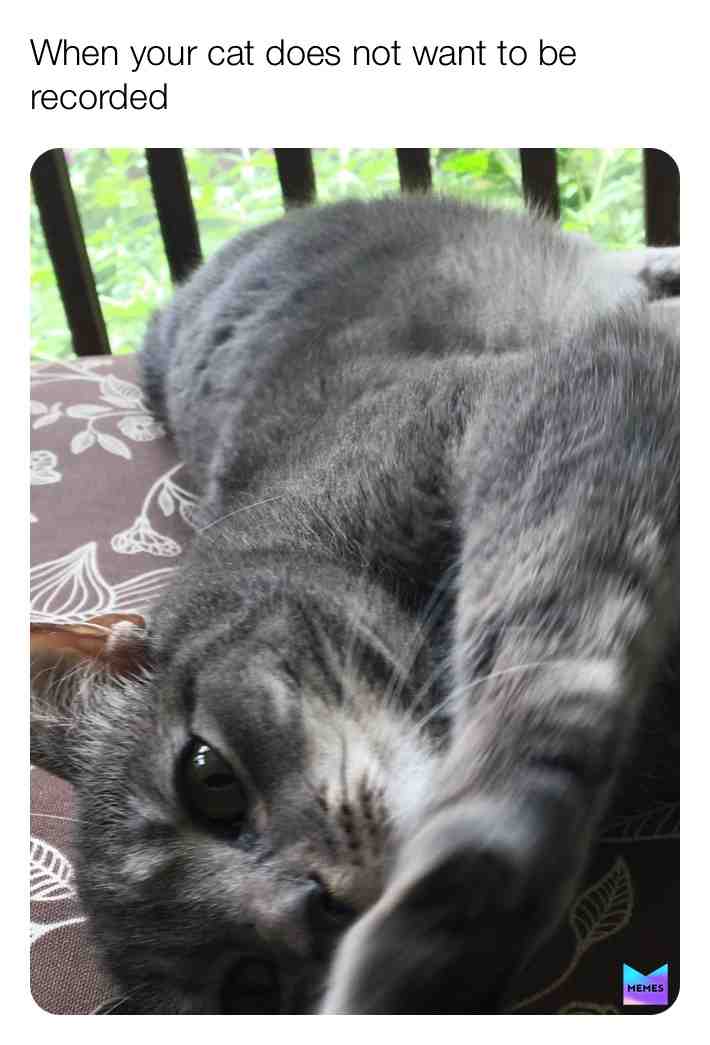Camera shy