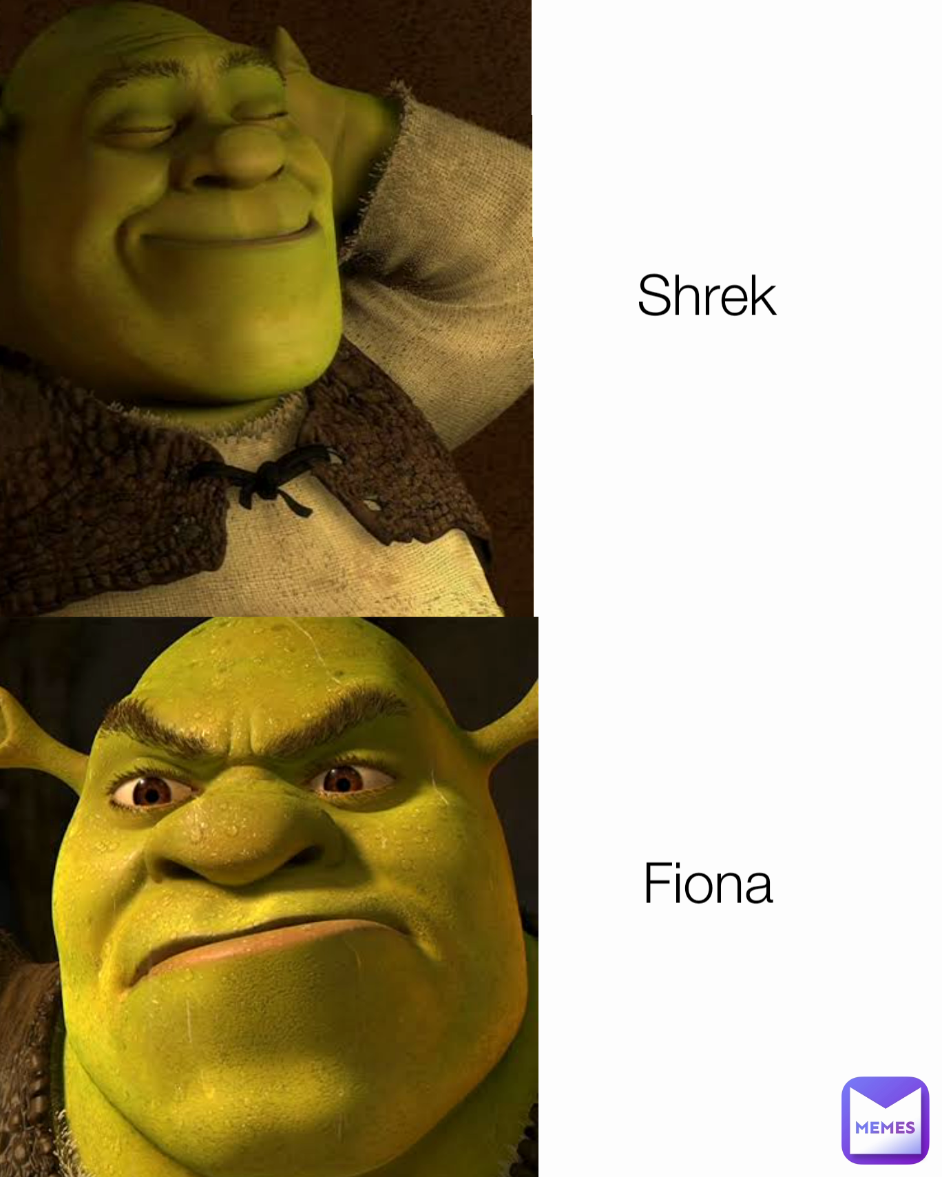 Shrek Fiona