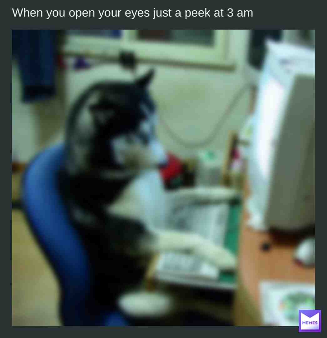 #3ammemes #dogsatnight
