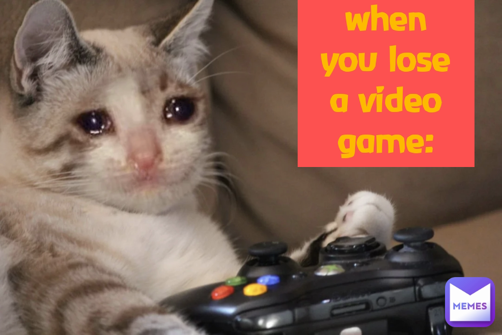 when you lose a video game:
