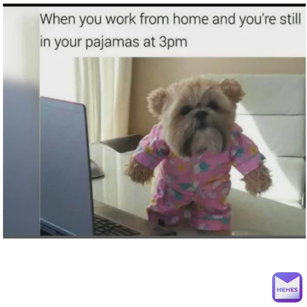 Meme by MinecraftDirtTheGamer