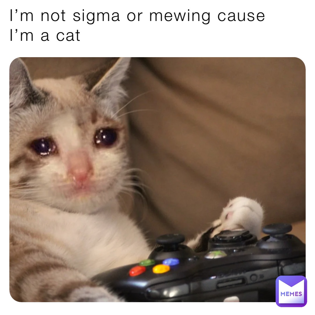 I’m not sigma or mewing cause I’m a cat