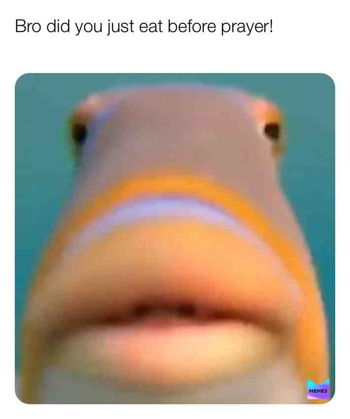 Cmon bro really!
#fish #prayer #epic #meme