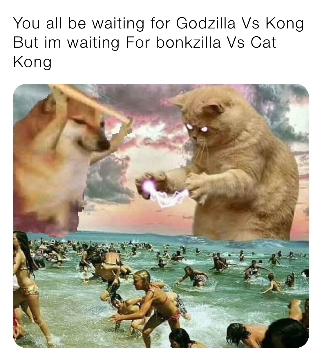 You all be waiting for Godzilla Vs Kong 
But im waiting For bonkzilla Vs Cat Kong 