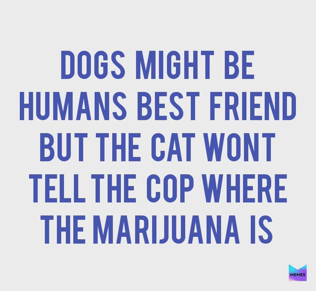 Meme by swedish_meme_swe