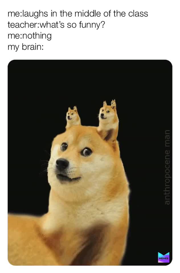 Meme shared by @bageleater