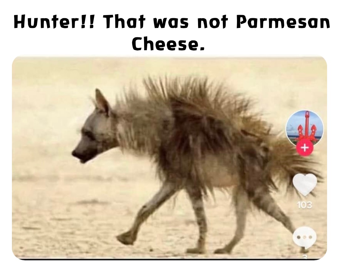 Hunter!! That was not Parmesan Cheese.