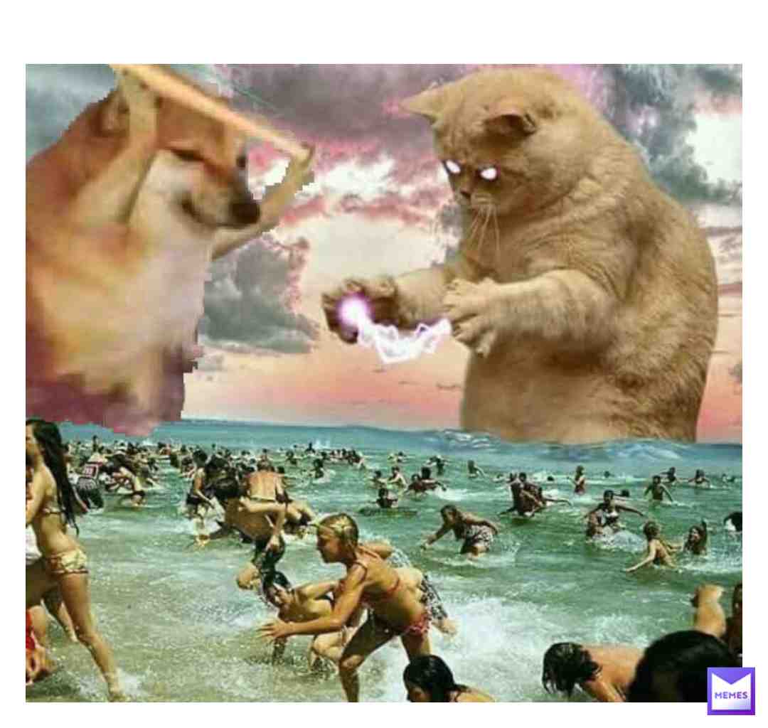 Meme shared by @FROG_PUFF_MEMEZ
