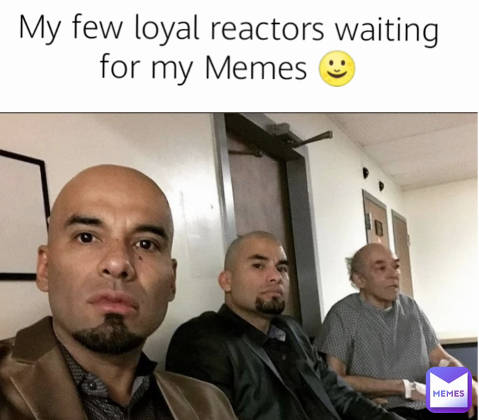 My few loyal reactors waiting for my Memes 🌝