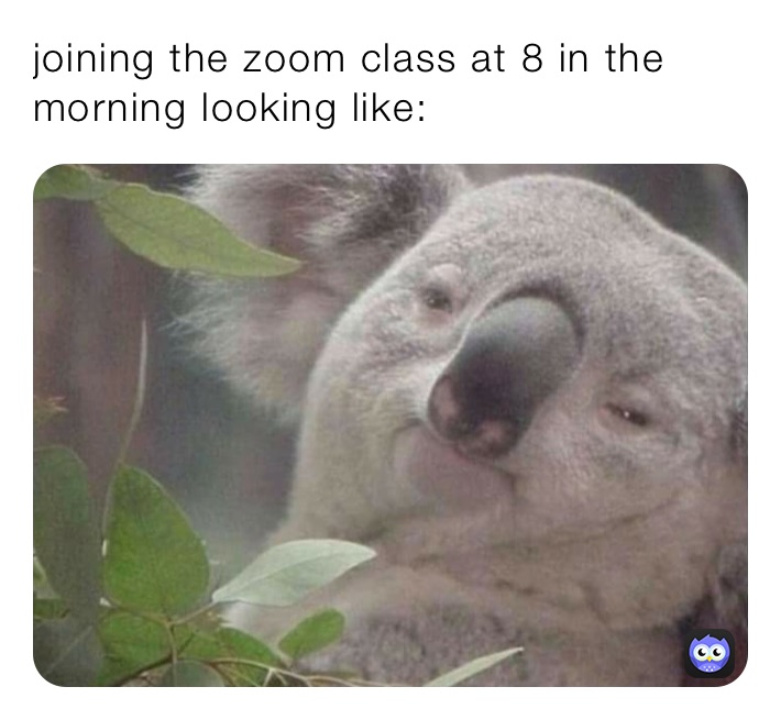 joining the zoom class at 8 in the morning looking like: