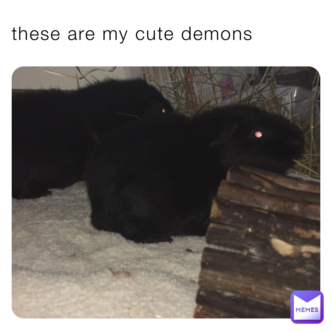 Meme by Snoopdoggsdaughter