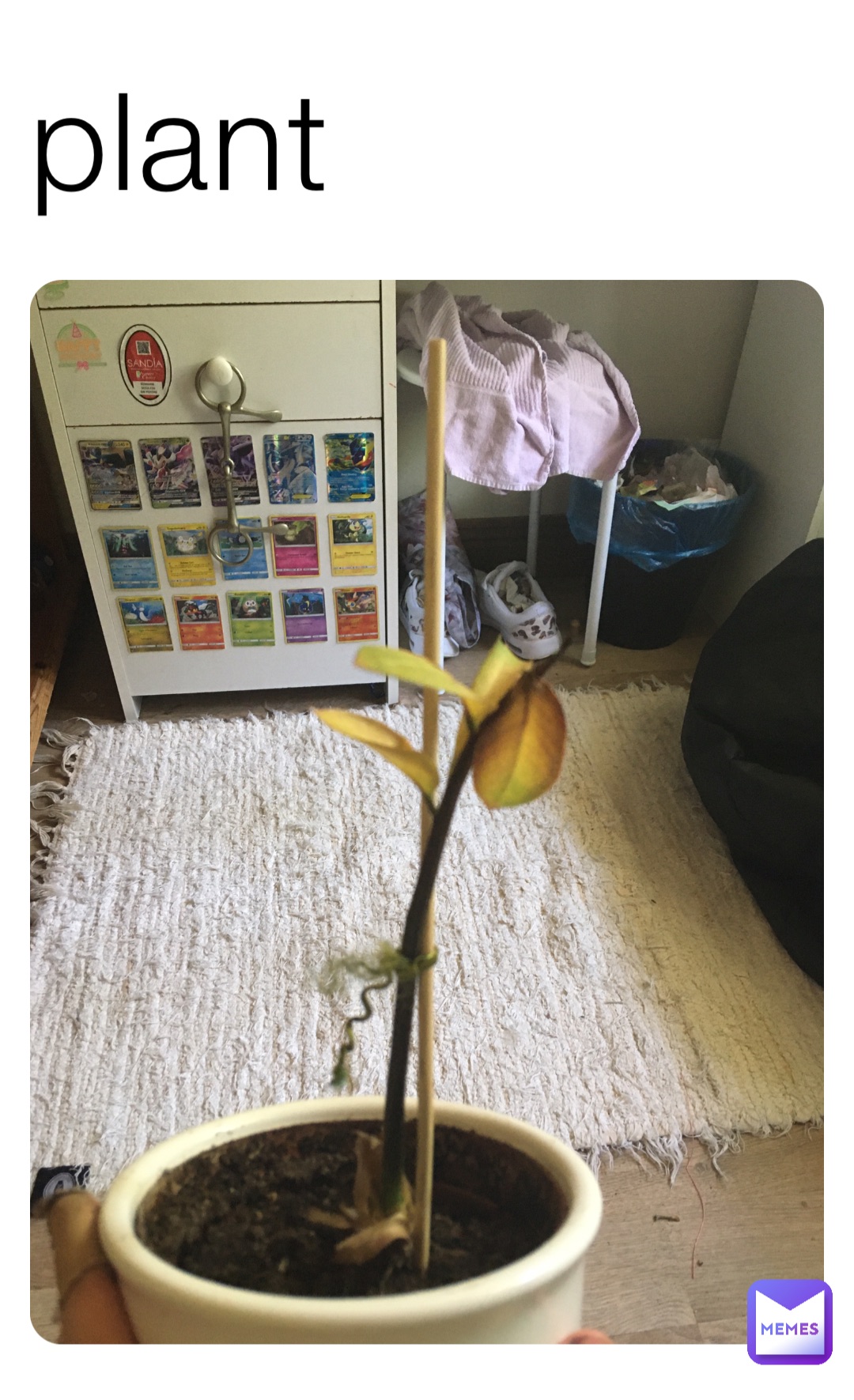 Meme by Snoopdoggsdaughter