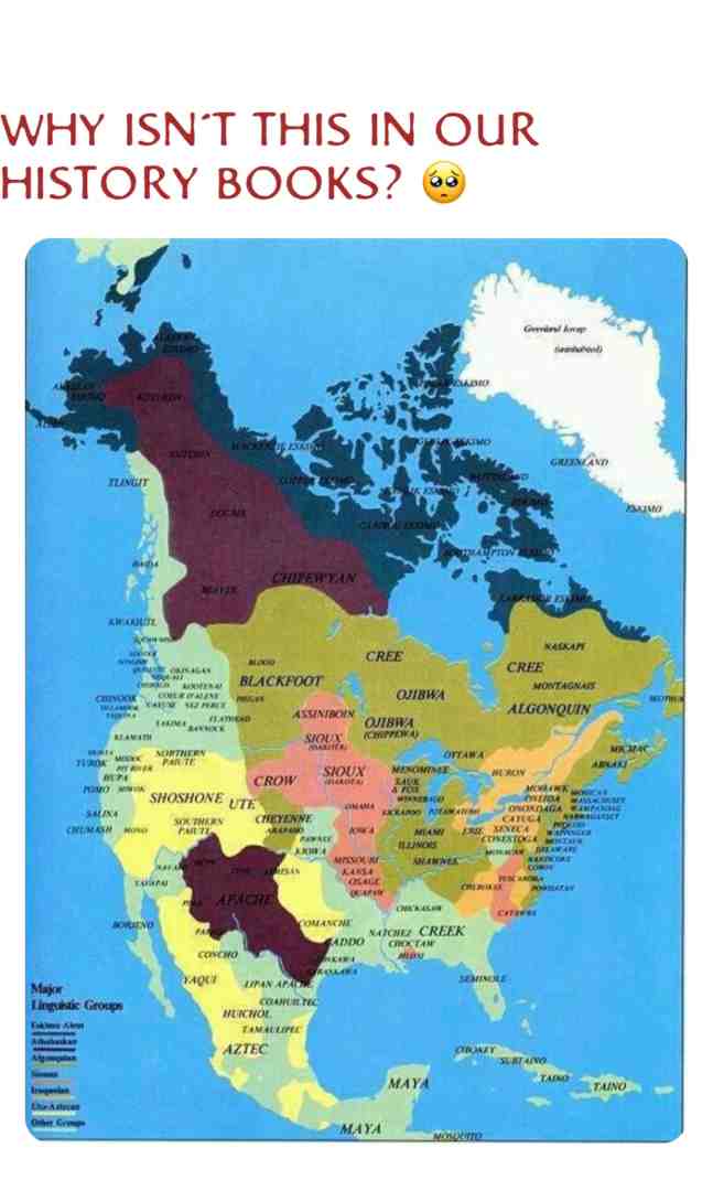 WE ARE ALL IMMIGRANTS! Except, WE ENSLAVED AFRICAN BLACKS who weren’t ENSLAVED NATIVE AMERICANS    #imjustsaying