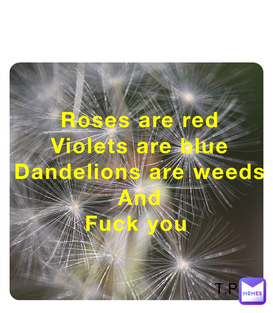 Roses are red 
Violets are blue 
Dandelions are weeds 
And 
Fuck you T.P.