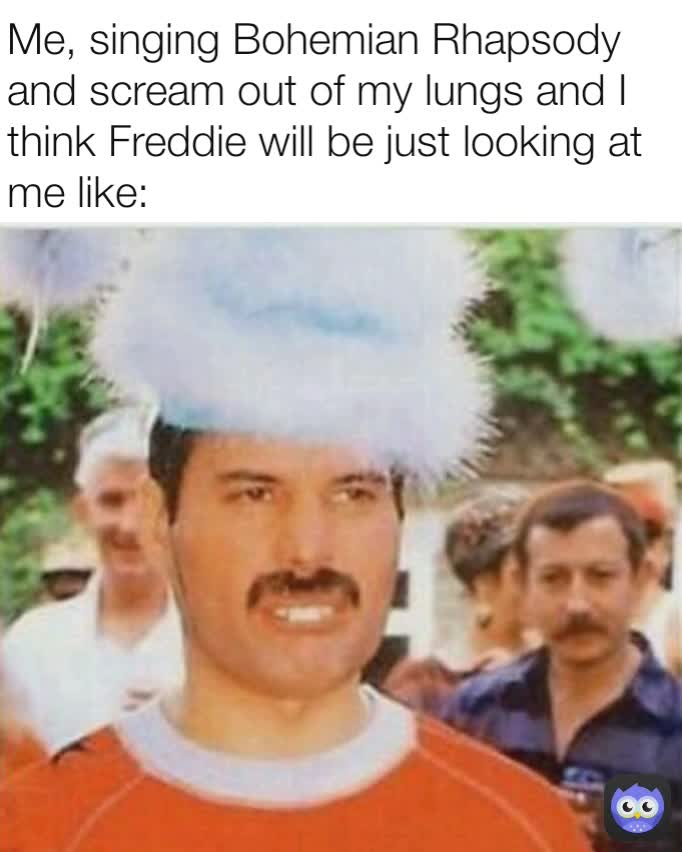 Me, singing Bohemian Rhapsody and scream out of my lungs and I think Freddie will be just looking at me like: