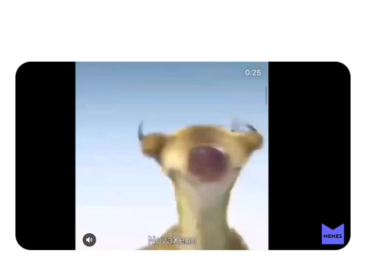 Meme shared by @THEshitstirer