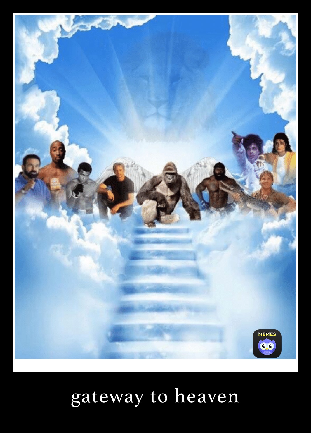 Meme by George_Martin