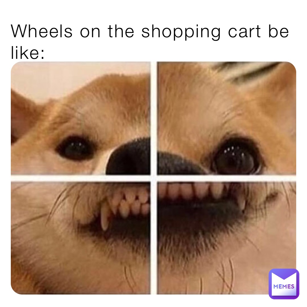 Wheels on the shopping cart be like: