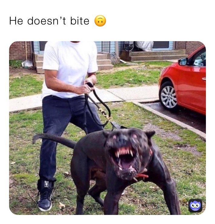 He doesn’t bite 🙃