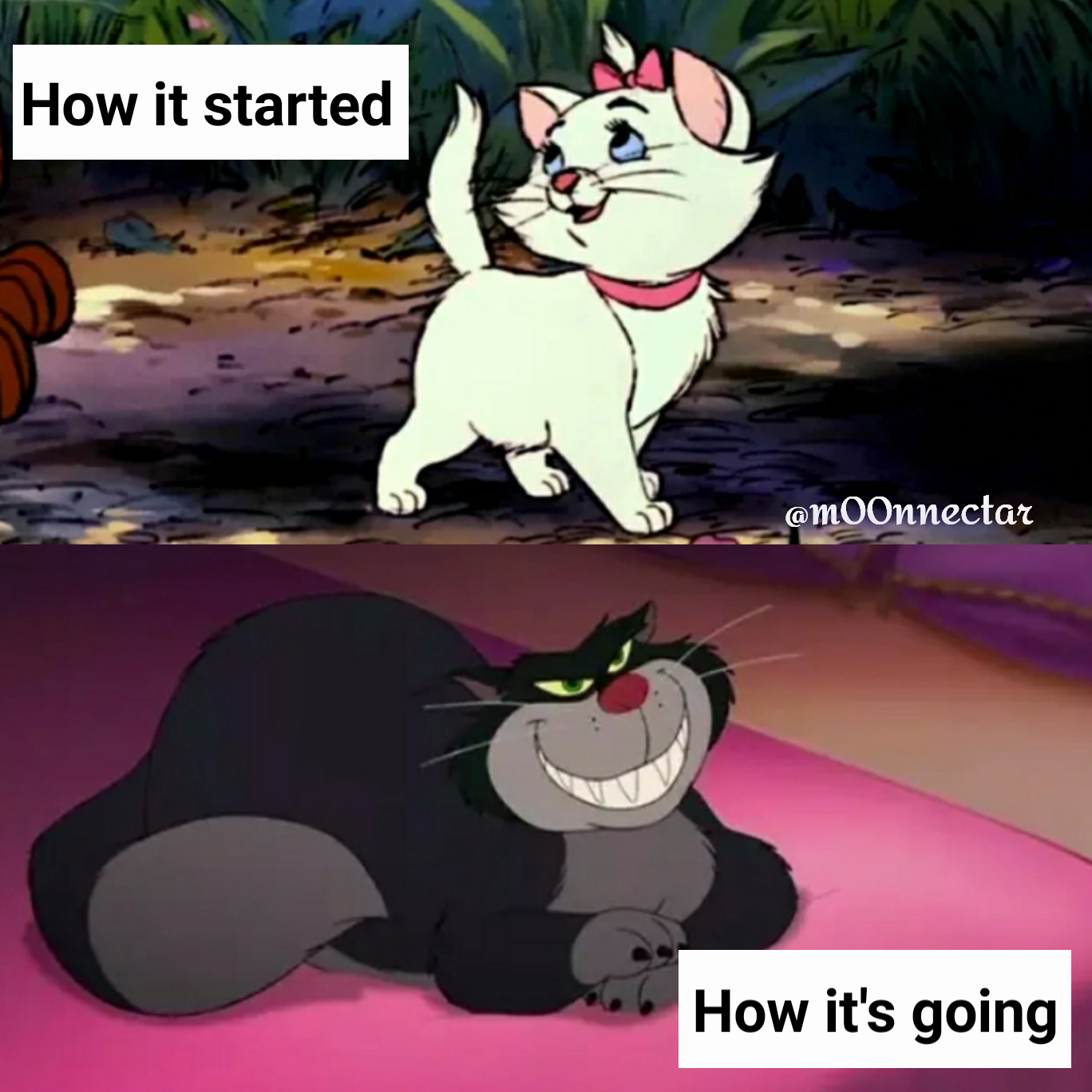 @m00nnectar How it started How it's going