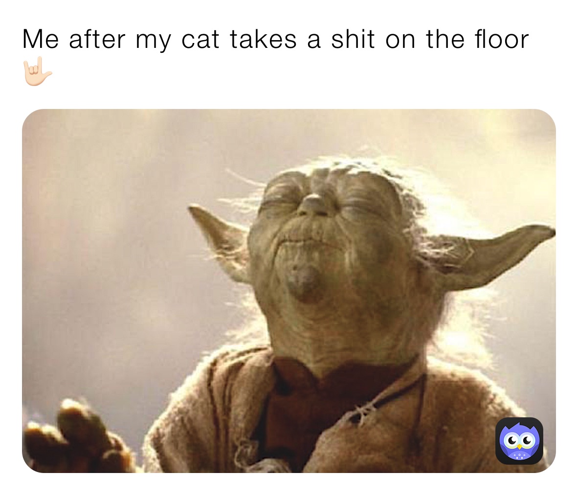 Me after my cat takes a shit on the floor 🤟🏻