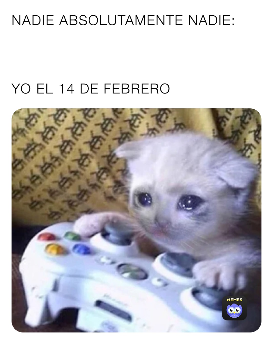 NADIE ABSOLUTAMENTE NADIE:



YO EL 14 DE FEBRERO 