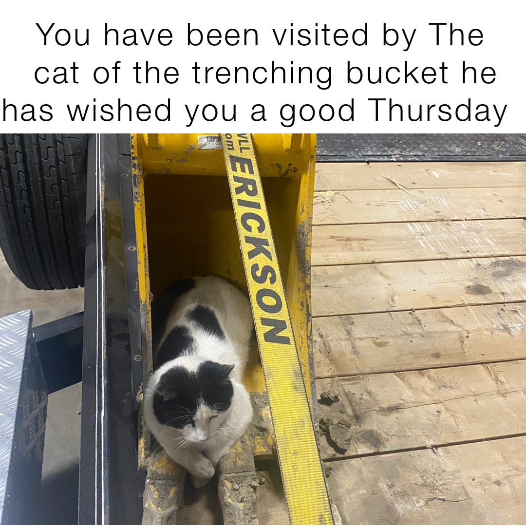 You have been visited by The cat of the trenching bucket he  has wished you a good Thursday