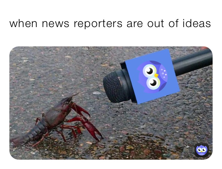 when news reporters are out of ideas 