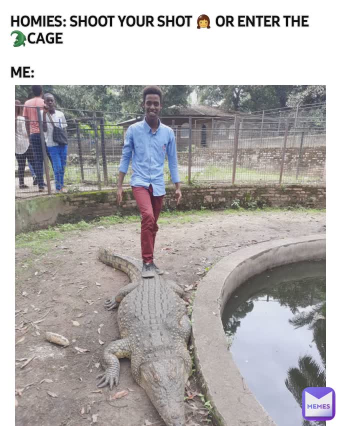 HOMIES: SHOOT YOUR SHOT 👧 OR ENTER THE 🐊CAGE

ME: