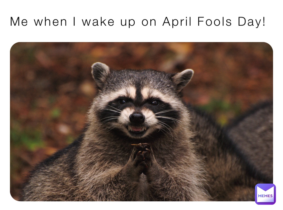 Me when I wake up on April Fools Day!