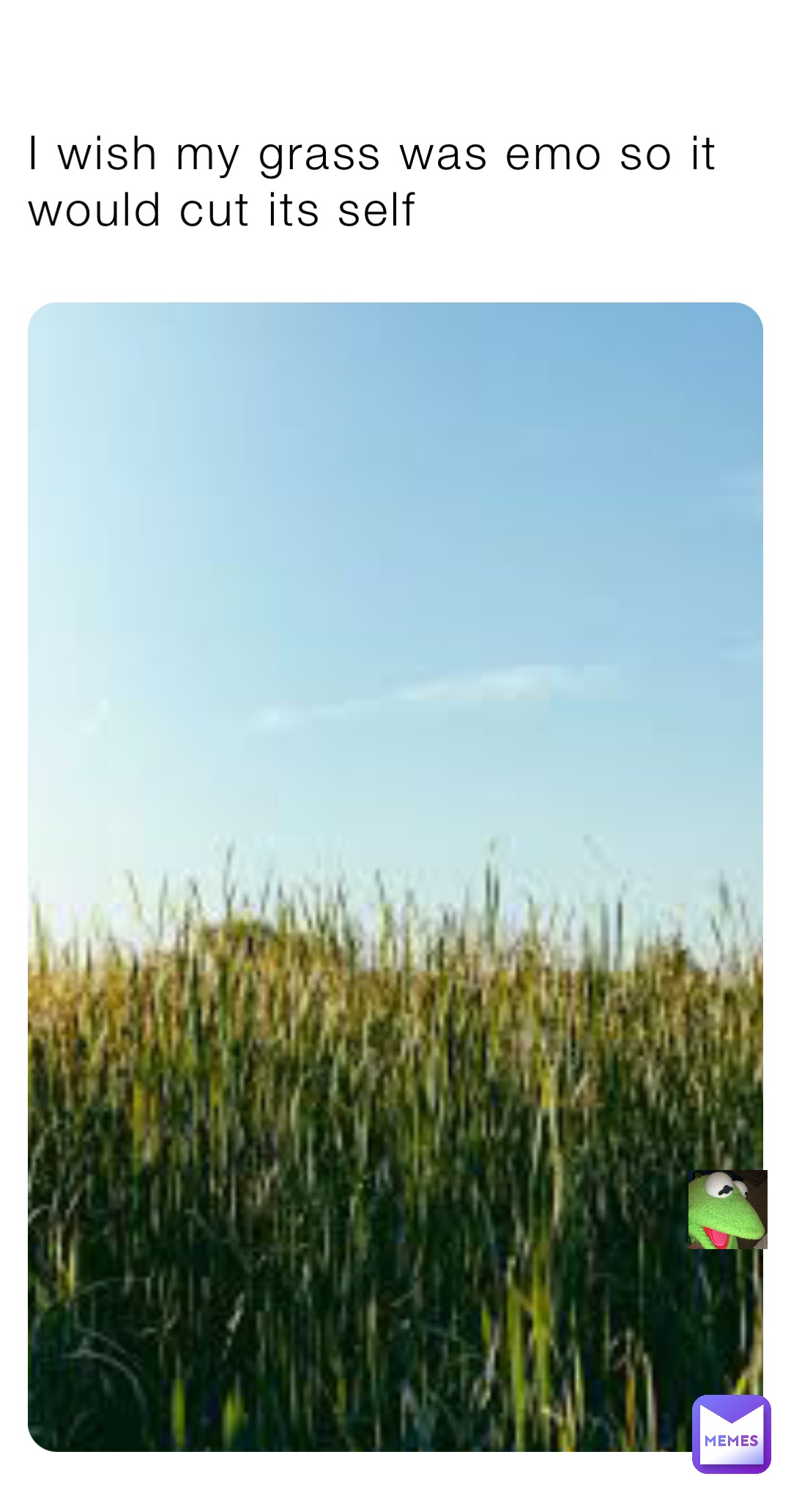 I wish my grass was emo so it would cut its self