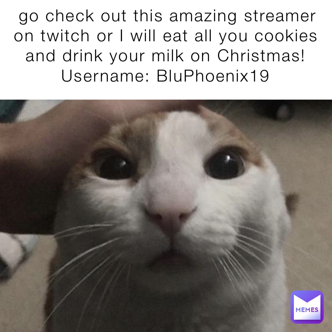 go check out this amazing streamer on twitch or I will eat all you cookies and drink your milk on Christmas!
Username: BluPhoenix19