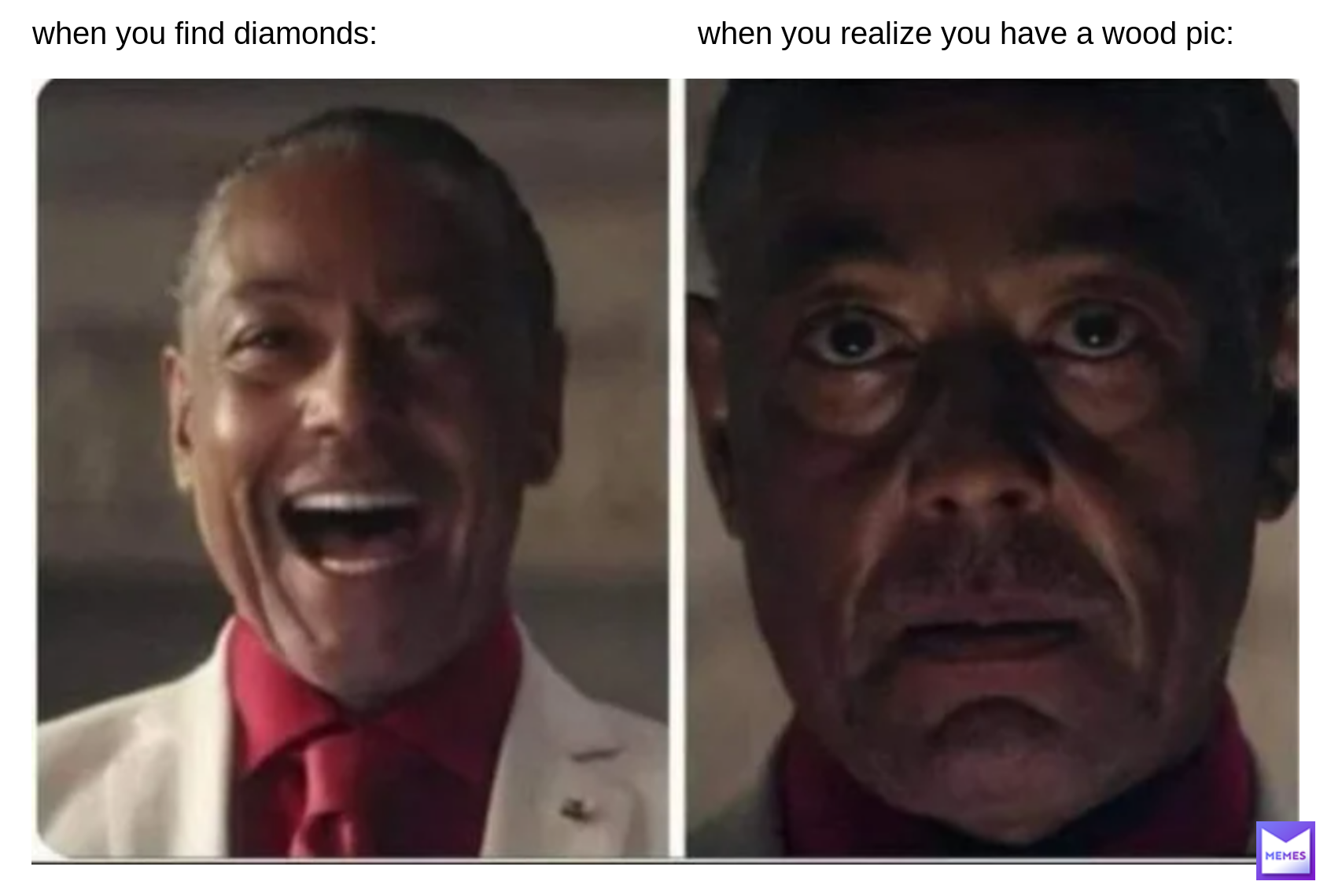 Meme by Theplayerofminecraft