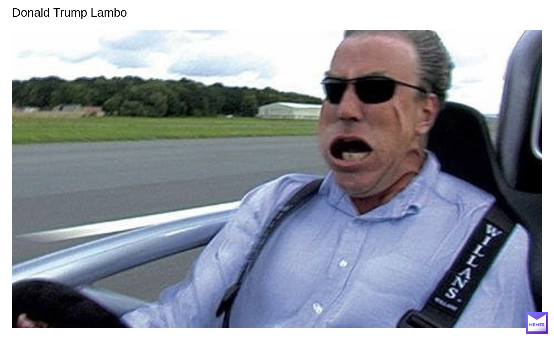 Meme by Theplayerofminecraft