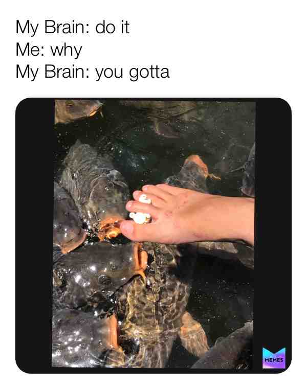 Meme shared by @grunt_goblin