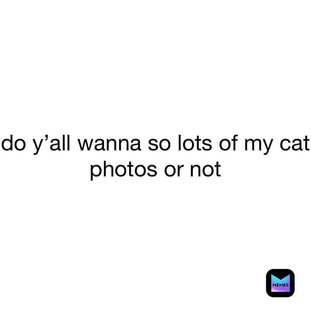 ​Cute cat