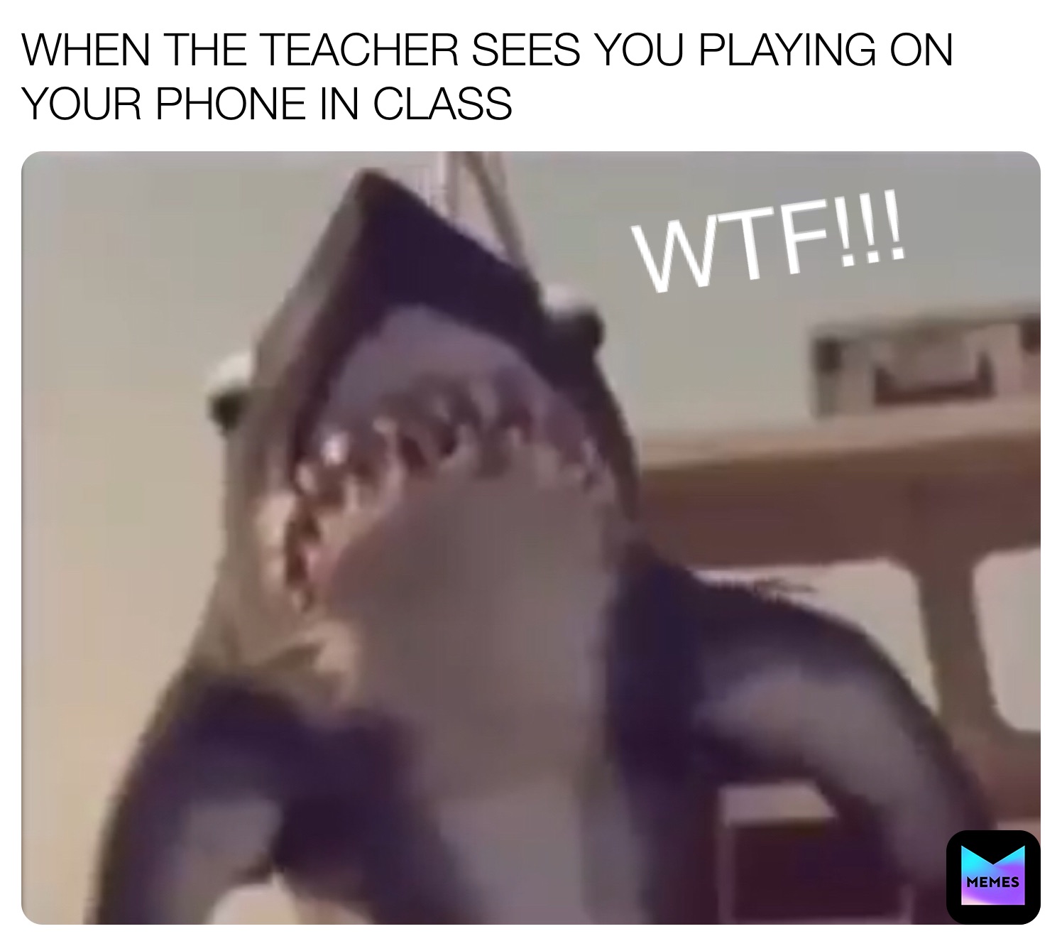 WHEN THE TEACHER SEES YOU PLAYING ON YOUR PHONE IN CLASS  WTF!!!