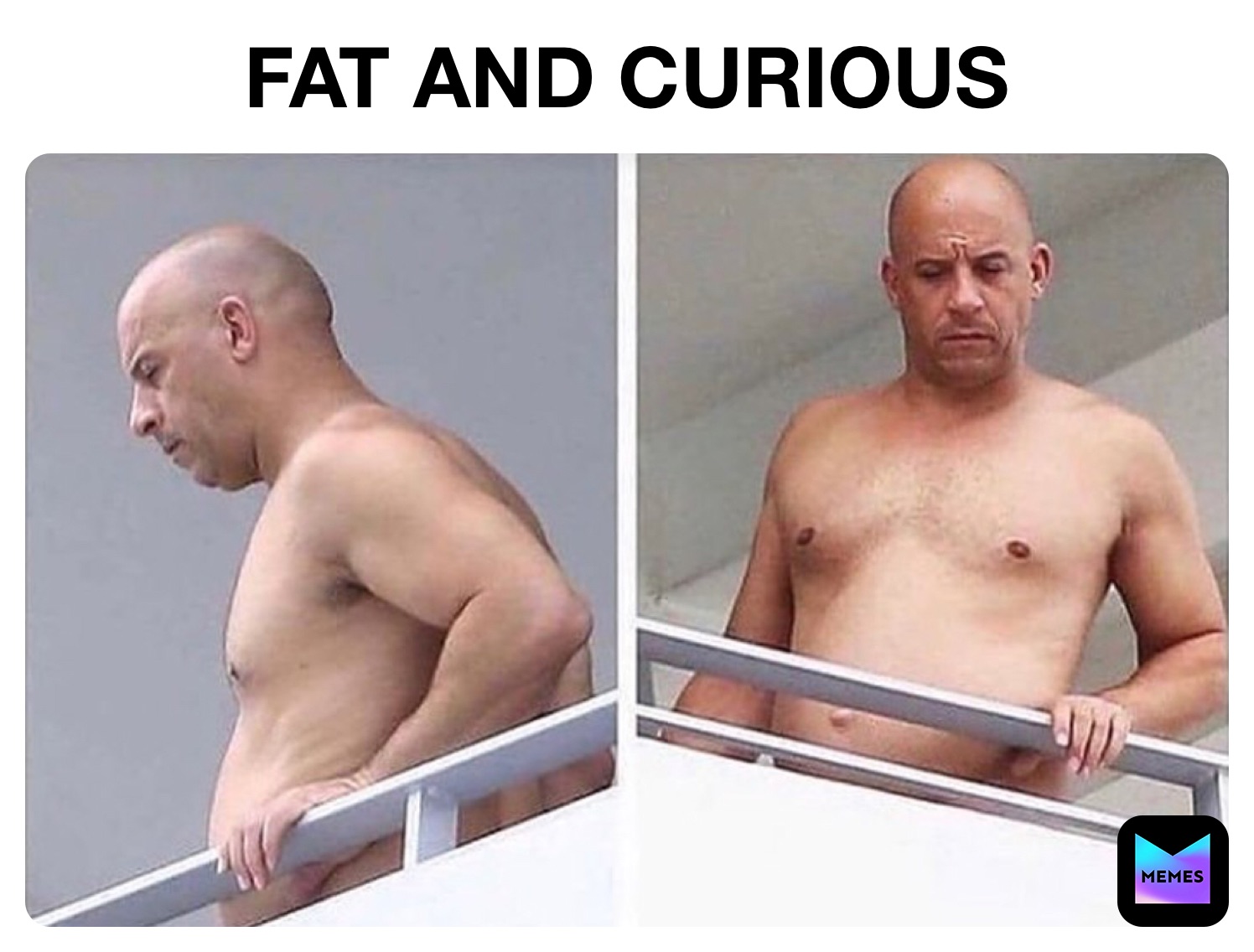 FAT AND CURIOUS 