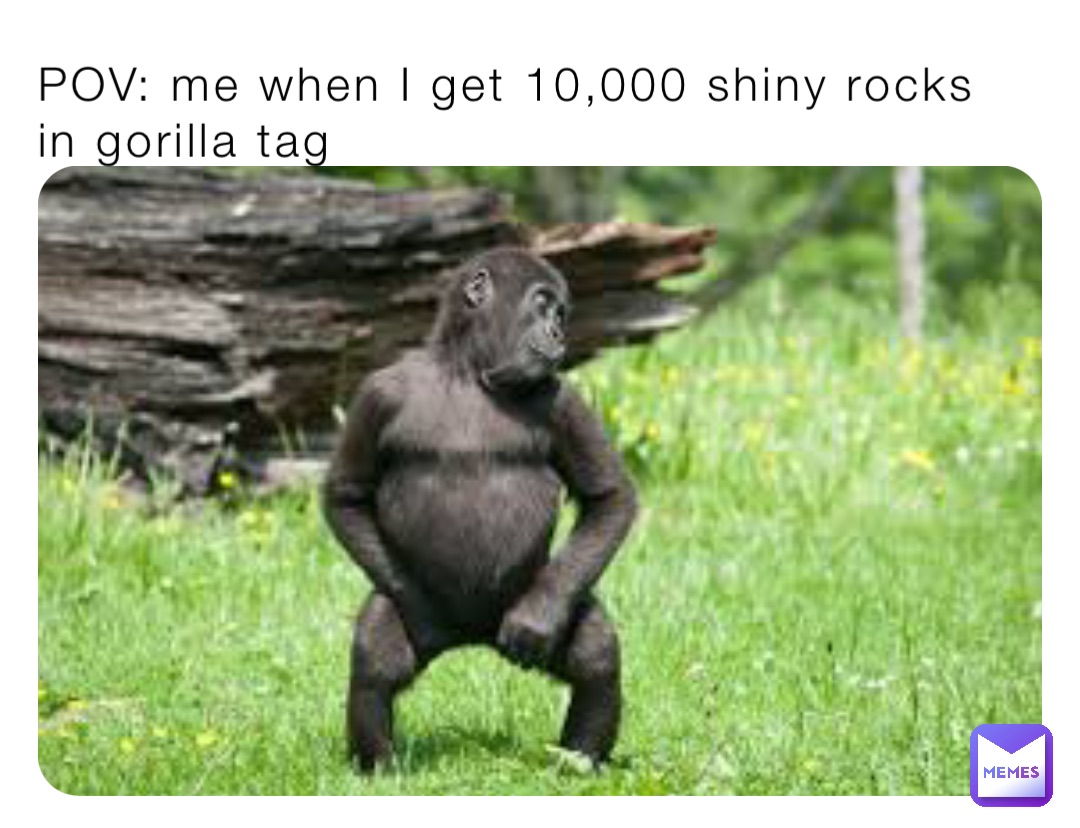 About: Gorilla Tag Profile Picture (Google Play version)